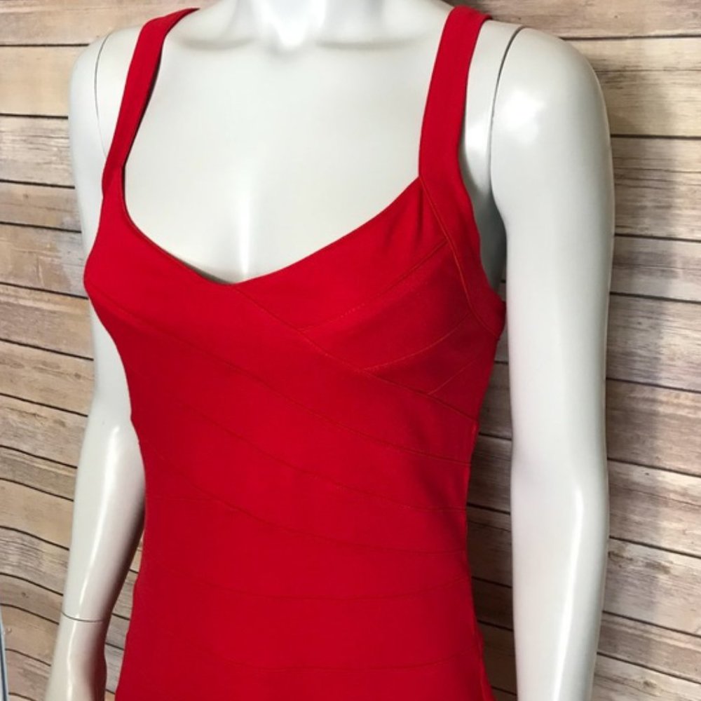Express EUC Bodycon Dress